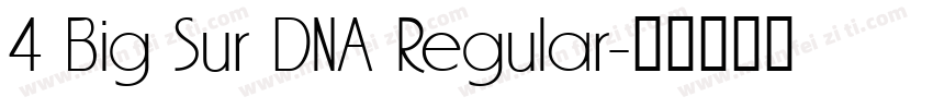 4 Big Sur DNA Regular字体转换